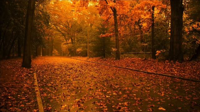 Listening To The Nature - Fado R.