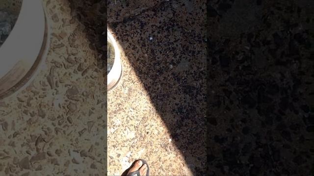 EXTRAÇÃO DE OURO 20 KILOS DE MATERIAL