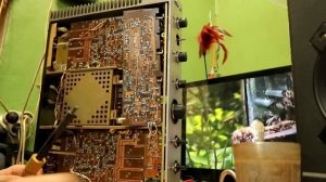 ремонт усилителя Кумир Hi Fi