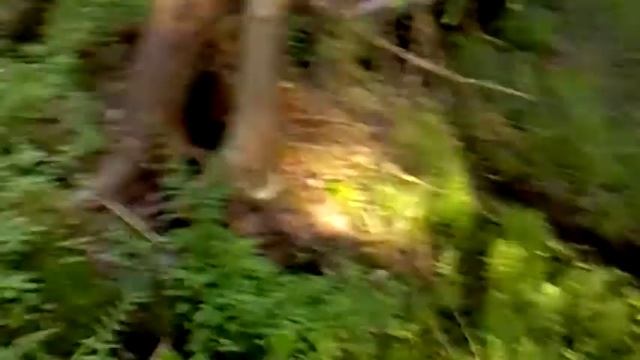 alkodrive смотреть онлайн