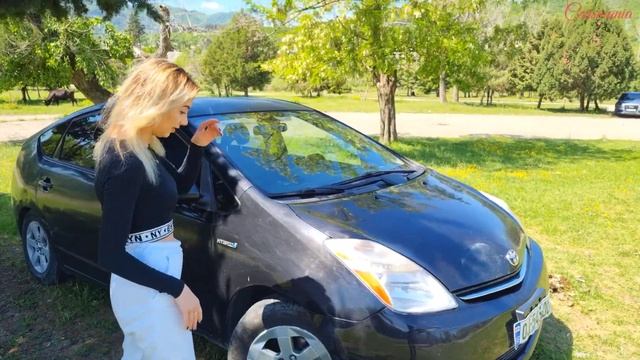Blondie Driving Car Cranking Test Toyota 2007 Pedalpumping