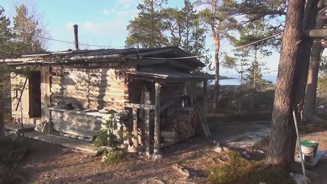 Самое начало лета. 2019г. смотреть онлайн