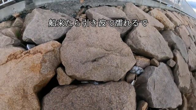 【岸和田KOTOKU前】青物を探して初めての地でショアジギング！【場所解説付き】 смотреть онлайн