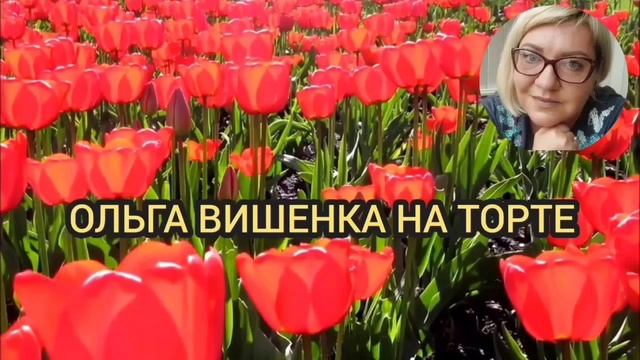ПОРА В ПАЛАТУ НОМЕР 6. VREDINA LIFE. ОБЗОР. смотреть онлайн