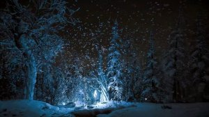 Этот волшебный зимний лес со звуками вьюги и снега поможет вам забыть о проблемах