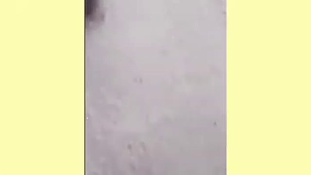 рататуй😂🤣💩🤷🏻♀ смотреть онлайн