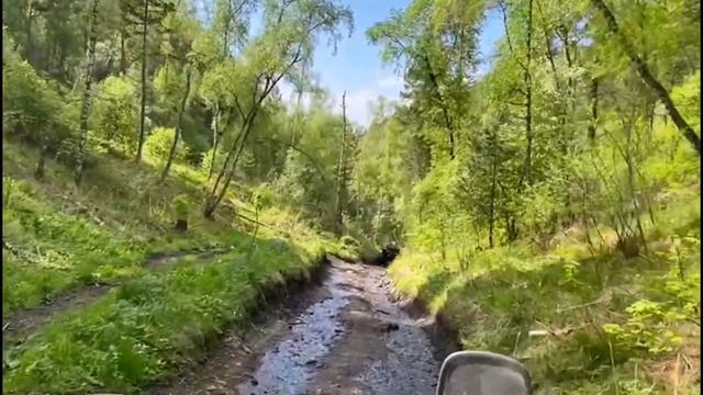 Горный Алтай 2024 смотреть онлайн