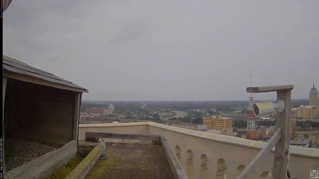 Camera 8 - 08/02/24 смотреть онлайн