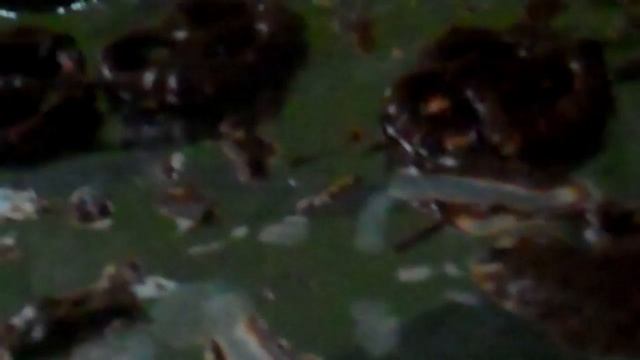 mmmmmmmmmmmmmmmmmmmmmmmmmmmmmmmmmmmmmmmm........... смотреть онлайн