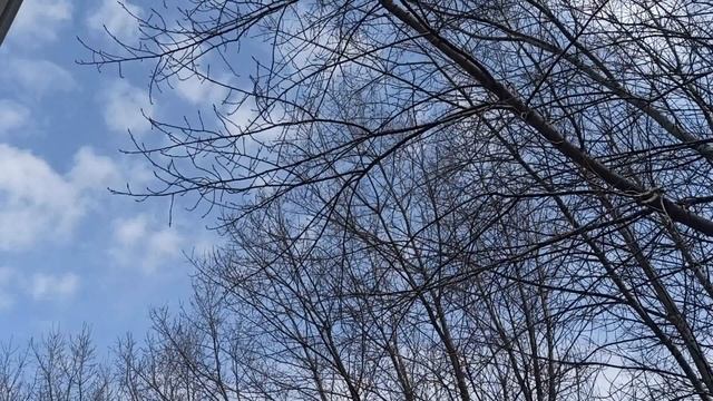 9 апреля народный праздник День Матроны. Что делать нельзя. Народные приметы и традиции. смотреть онлайн
