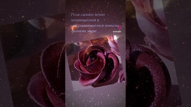 Много ли в мире найдется людей, которым не нравятся розы? смотреть онлайн