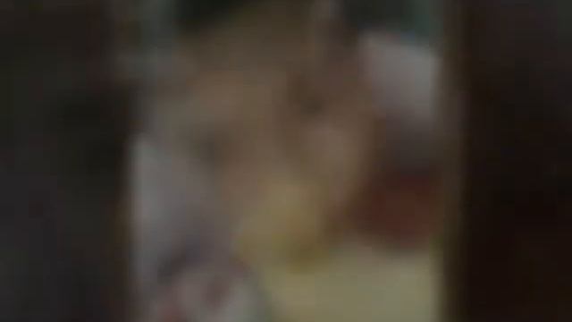 VK yeu k.n va p.h 28/2 смотреть онлайн