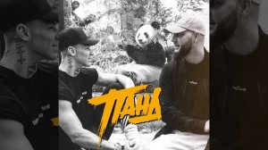 Брутто, NILETTO - Панда