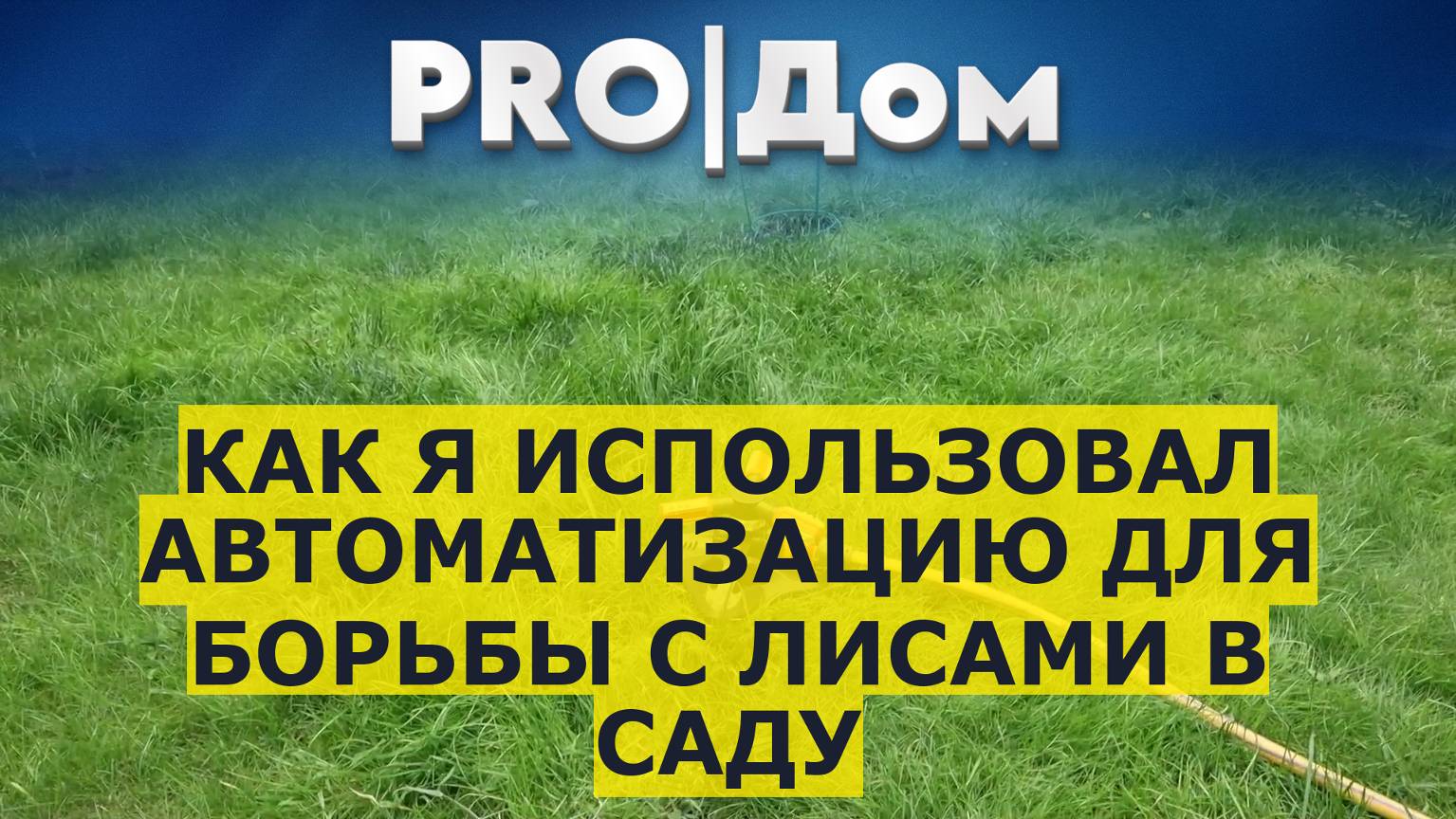 Как я использовал автоматизацию для борьбы с лисами в саду смотреть онлайн
