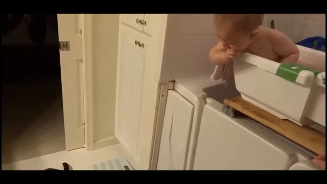 Собаки-клоуны смотреть онлайн