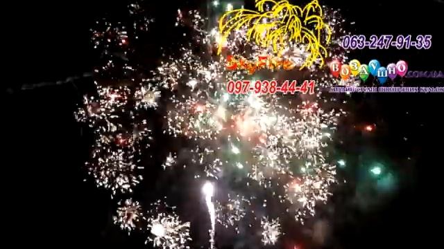 VF 00022 - 27.11.2013 Новообуховская трасса ресторан Партизан (650$) смотреть онлайн