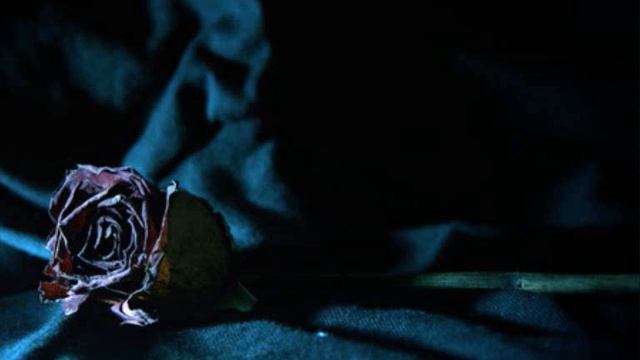 DYING ROSE( Belarus)-Lethargic Sleep . смотреть онлайн
