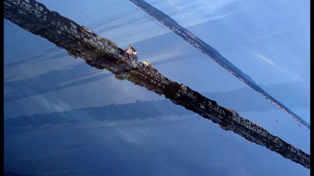 TRIONFO DEL DISINGANNO By CHICO TERTO