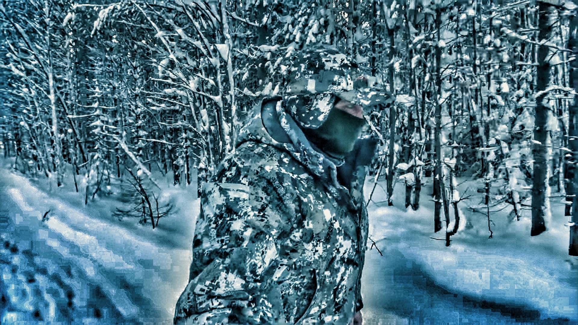 Потерялись собаки в тайге. С наступающим новым годом вас друзья. смотреть онлайн