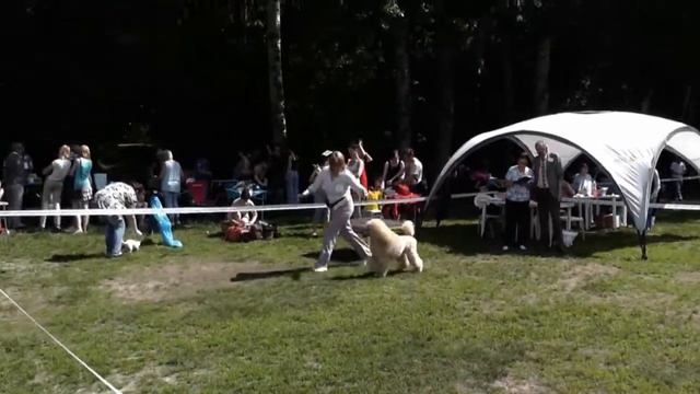 Агидель из Амурской Акварели 24.05.2014 смотреть онлайн