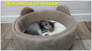 Лежанка для кошки своими руками