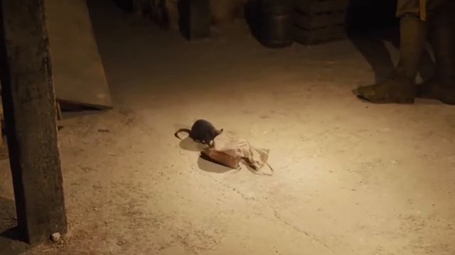 НЕ В КИНО.1917 и Мнение о фильме смотреть онлайн