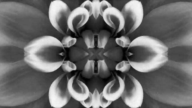 Givenchy Dahlia Noir смотреть онлайн