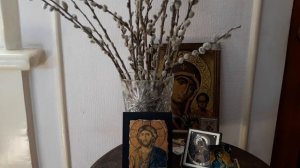 Вербное Воскресенье 2022 . От болезней , негатива в доме. С прошлогодней вербой