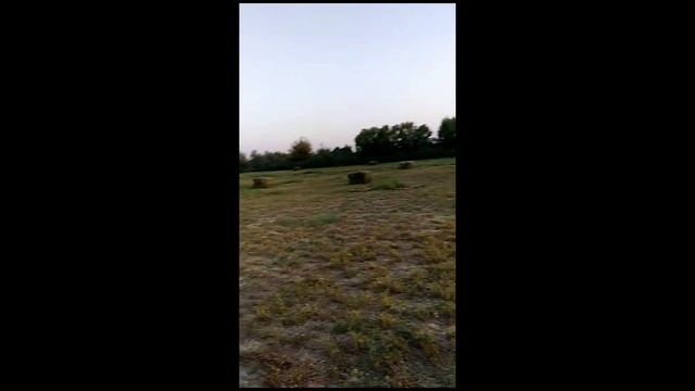 ЁРИНЖА ПРЕСС БОР ДОСТАВКА БОР +998885071414