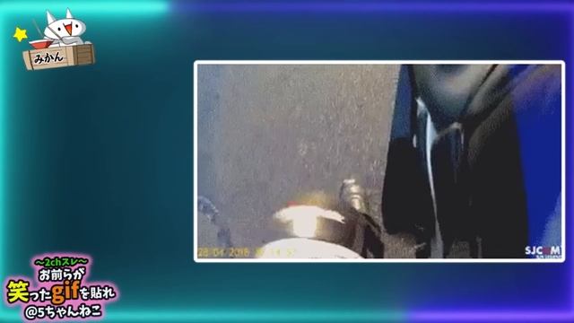 【2ch面白いgif】爆笑！おもしろgif画像で笑ったら腹筋10回なww【コメ付き】 смотреть онлайн
