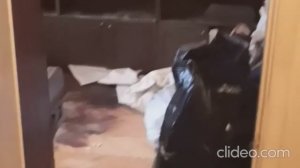 Дезинфекция и уборка квартир после смерти вывоз мусора.
Устранение трупного запаха (холодный туман)