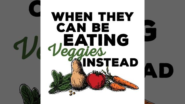 True Made Foods Low Sugar Veggie Ketchup смотреть онлайн