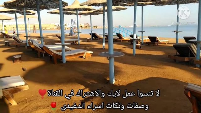 فندق هاواى سيزر بالاس وهاواى سيزر دريمز الغردقة hawaii caesar palace hawaii caeser dreams hurghada смотреть онлайн
