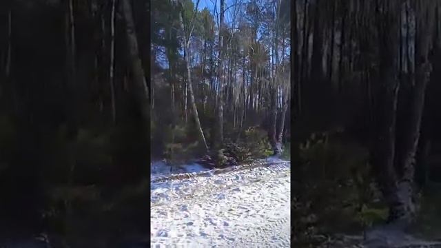 "Птица счастья" поет песню Николай Рябуха смотреть онлайн
