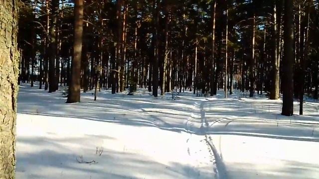 гуляю в парке смотреть онлайн