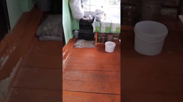 Антимоскитная сетка просто СУПЕР. Рекомендую всем! #shorts смотреть онлайн