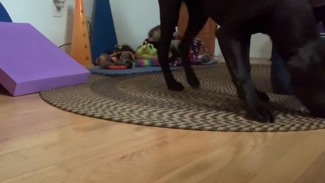 Maple beginning retrieve work смотреть онлайн