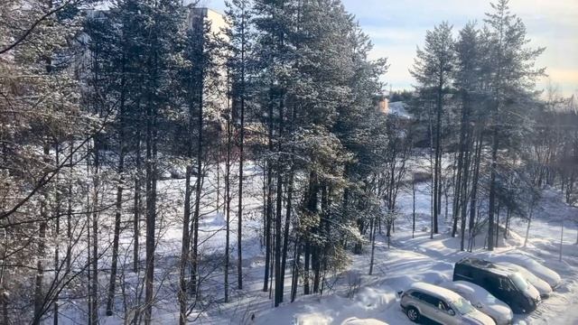 608. В интернете столько вариантов по питанию, голова идёт кругом🤔 смотреть онлайн