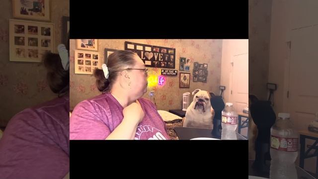 Chicken Spaghetti Mukbang смотреть онлайн