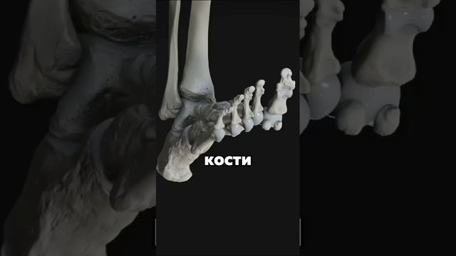 Вот как тот так...