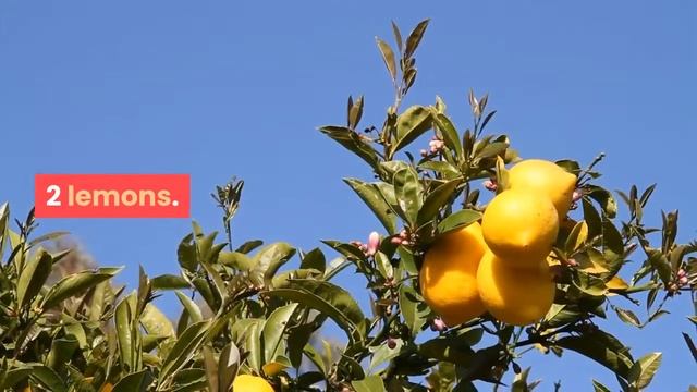 Grapefruit Jam Marmalade Recipes смотреть онлайн