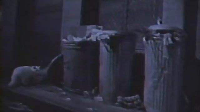 SEGA's The Adventures of Batman & Robin Commercial 1994 смотреть онлайн