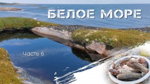 Пескожилы для ловли трески в бухте Жемчужная. Часть 6 - Белое Море  на байдарке Викинг 4,7, 2022 год