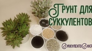 Грунт для суккулентов