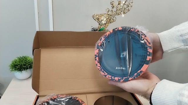 Обзор эстрадной акустики DL-AUDIO Barracuda 165 SE. Версия с подсветкой смотреть онлайн