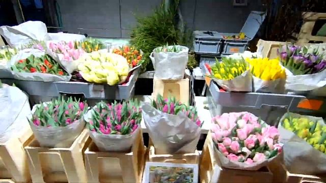 Zürich Walking Tour - Chocolate, Fondue, Churches, Swans смотреть онлайн