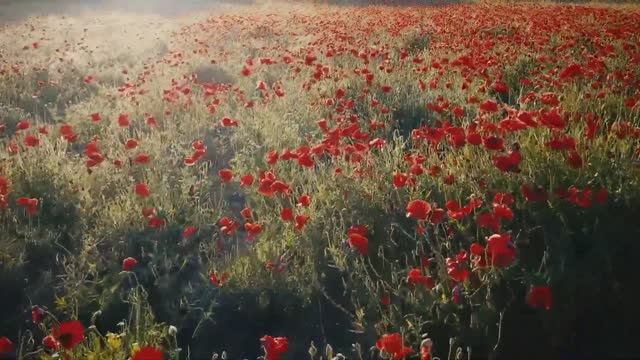 Успокаивающая, расслабляющая музыка / Soothing relaxing music смотреть онлайн
