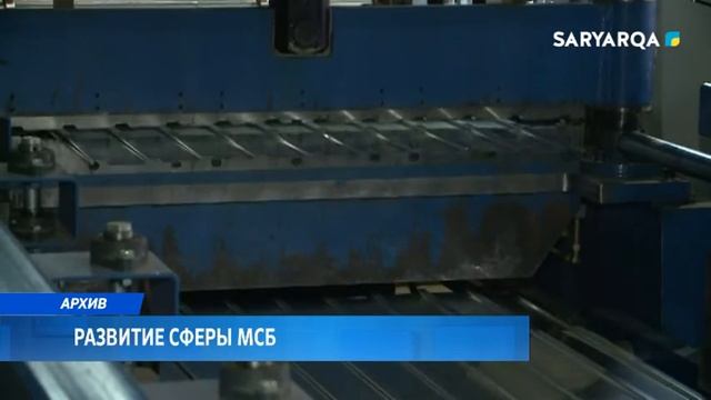 Развитие сферы МСБ смотреть онлайн