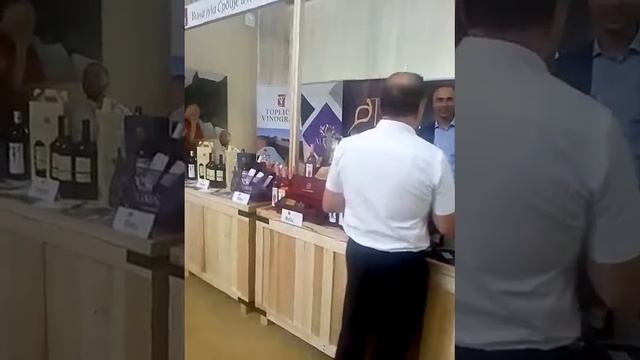 BERMET ALEKS u PALATI SRBIJE kod Vucica II(2) смотреть онлайн