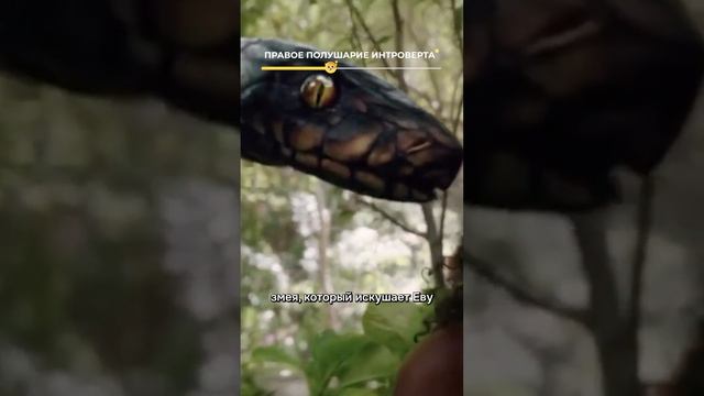 Хуа Чэн не тот, кем кажется... На ком основан персонаж «Благословения небожителей»? Смотри в видео смотреть онлайн